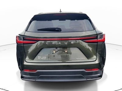 2024 Lexus NX NX 250