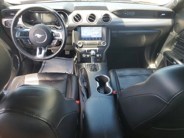 View 12