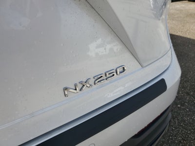 2024 Lexus NX NX 250 Premium
