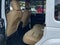 2019 Jeep Wrangler Unlimited Moab