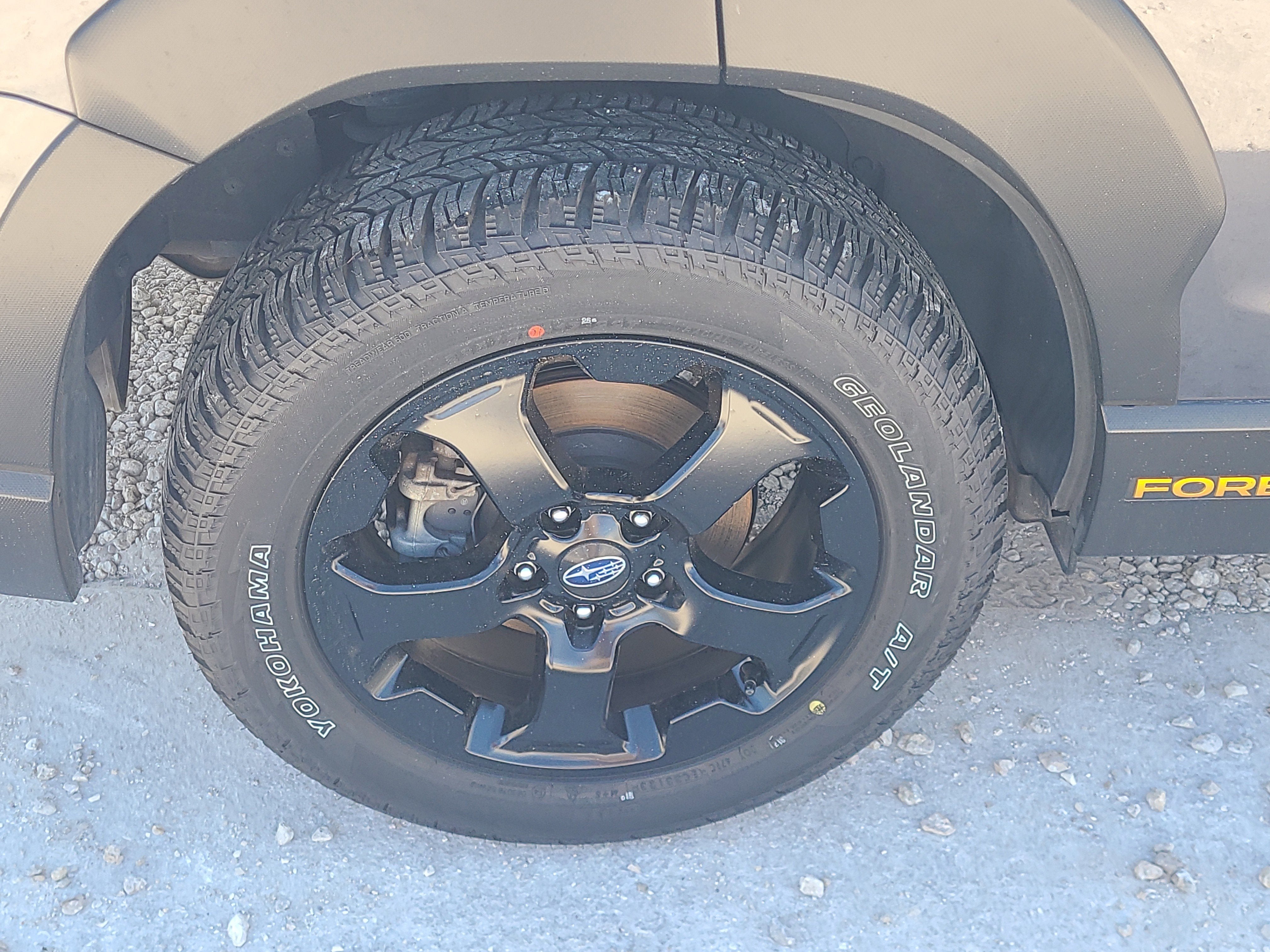 2024 Subaru Forester Wilderness