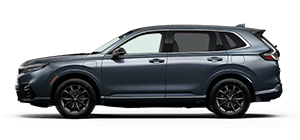 Venice Honda in Venice FL